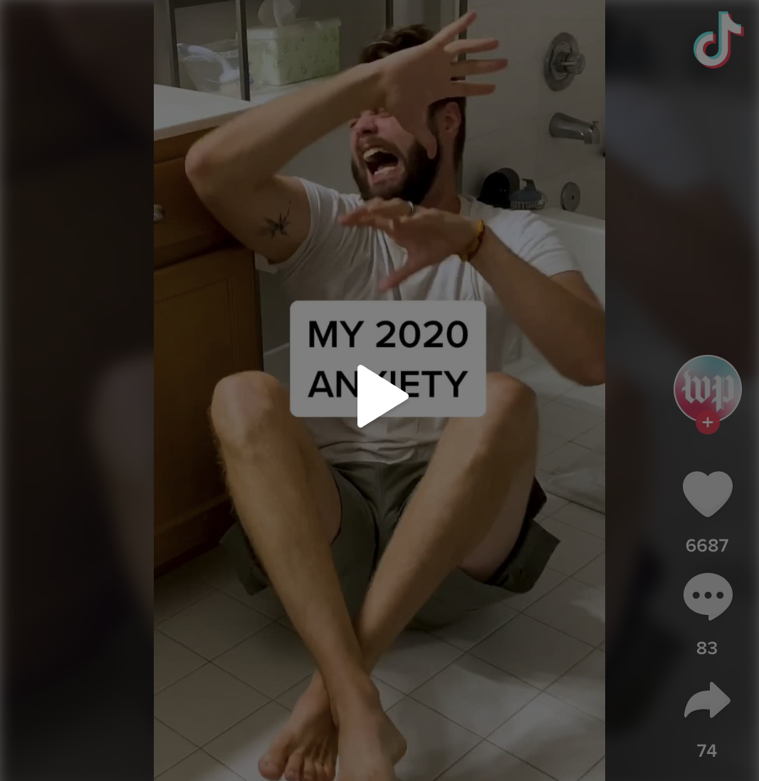 TikTok video showing My 2020 anxiety.
